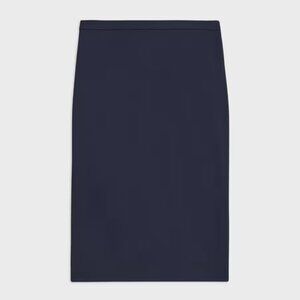 Theory Pencil Skirt in Wool Size 10